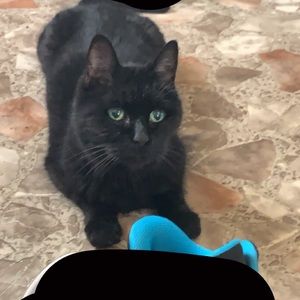 Meet your Posher, Isabelle